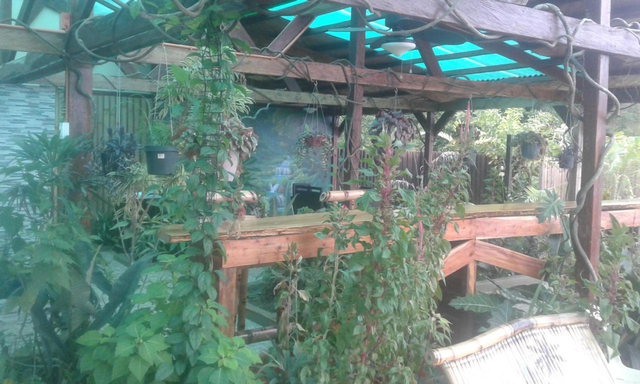 Jungle Of Peace Resort Siquijor Exteriör bild