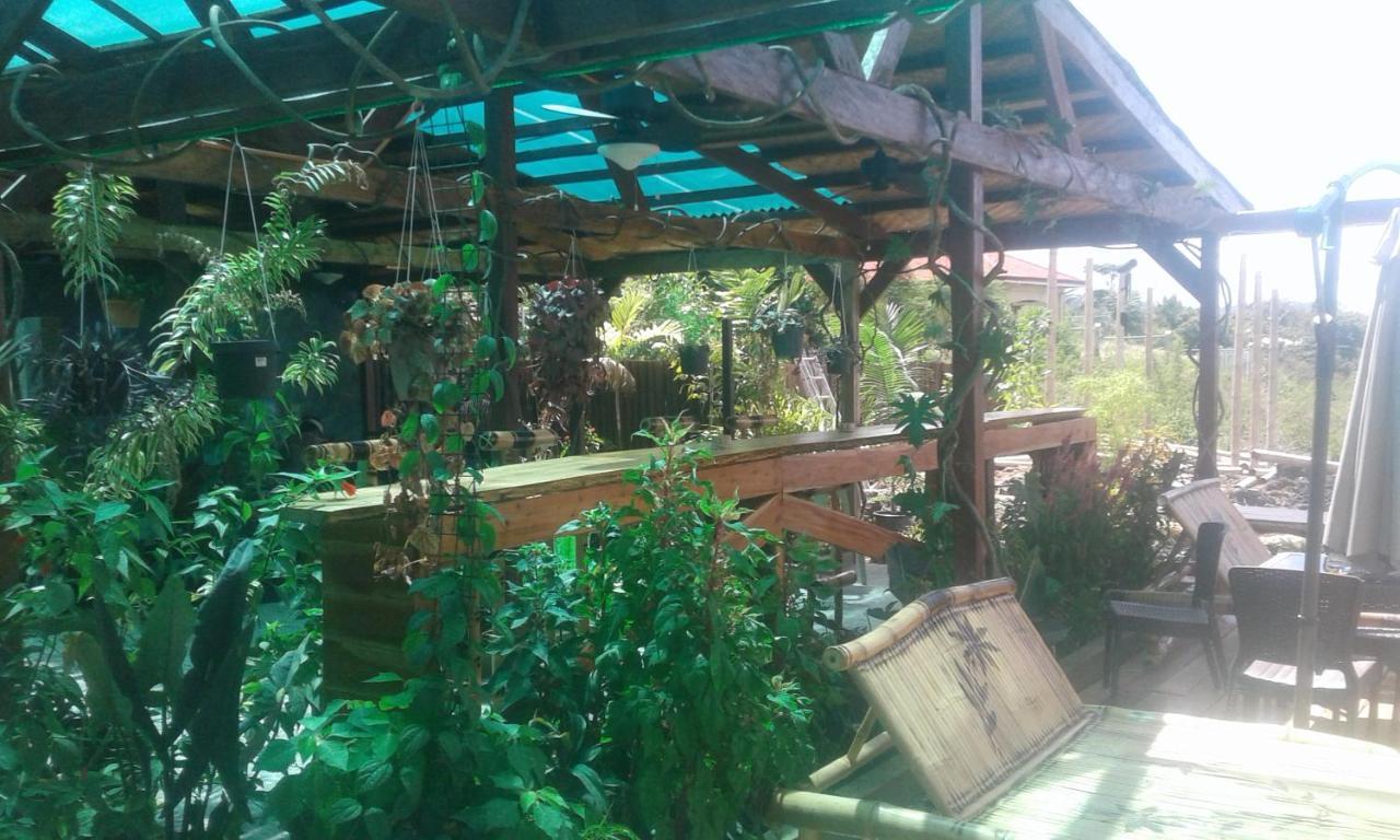 Jungle Of Peace Resort Siquijor Exteriör bild