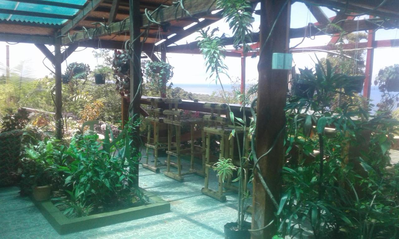 Jungle Of Peace Resort Siquijor Exteriör bild