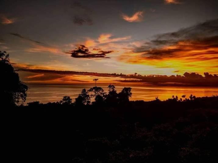 Jungle Of Peace Resort Siquijor Exteriör bild