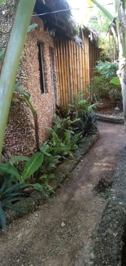 Jungle Of Peace Resort Siquijor Exteriör bild