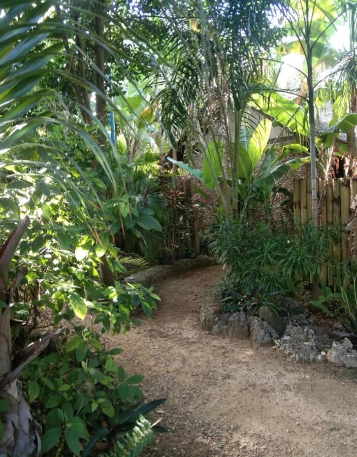 Jungle Of Peace Resort Siquijor Exteriör bild