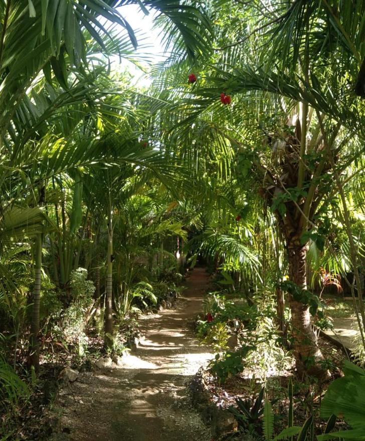 Jungle Of Peace Resort Siquijor Exteriör bild